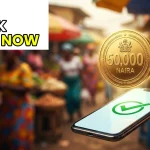 PCGS 50,000 Naira grant scheme application for Nigerian business owners.